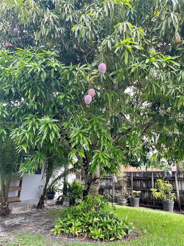 3135 SW 64th Ave, Miami, FL 33155 - view of yard