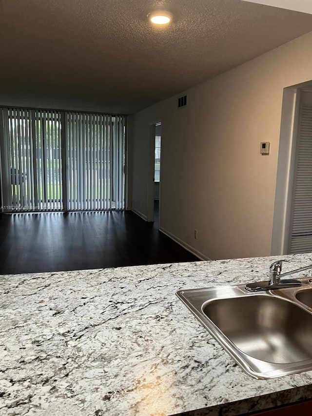 203 Lake Pointe Dr Unit 108, Oakland Park, FL 33309 - kitchen with a sink and dark wood-type flooring