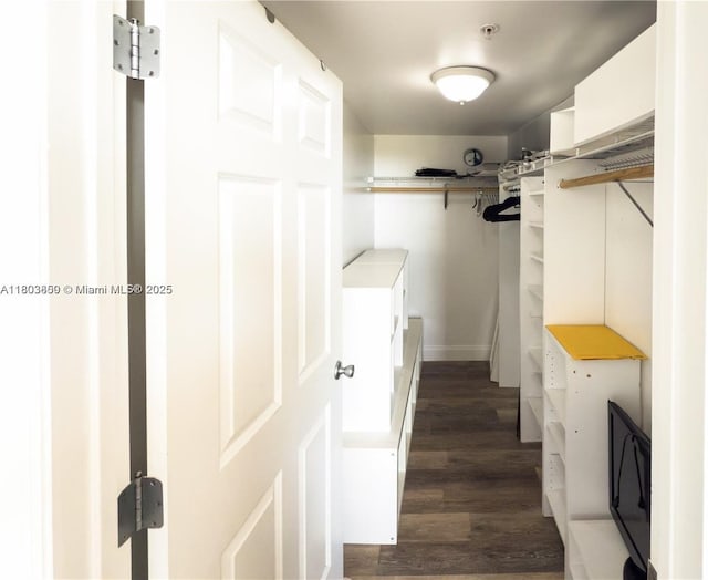 spacious closet with dark wood-style floors