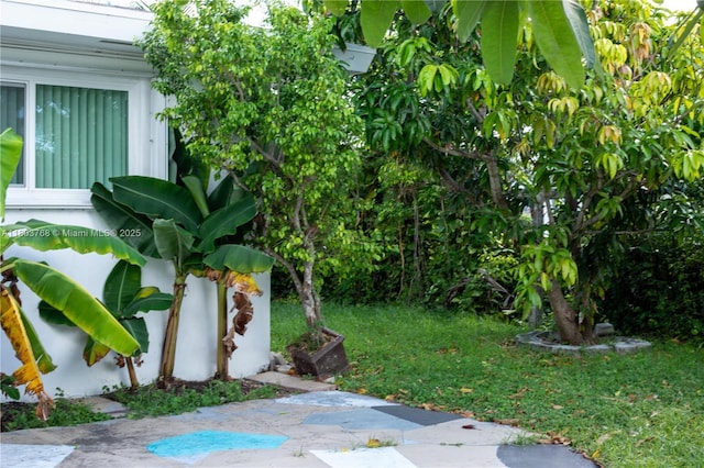 8851 Byron Ave, Surfside, FL 33154 - view of green lawn featuring a patio