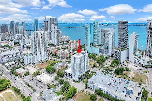275 NE 18th St Unit 306, Miami, FL 33132 - skyline view with a large body of water