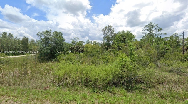 1935 Holyoke Ave, Lehigh Acres, FL 33972