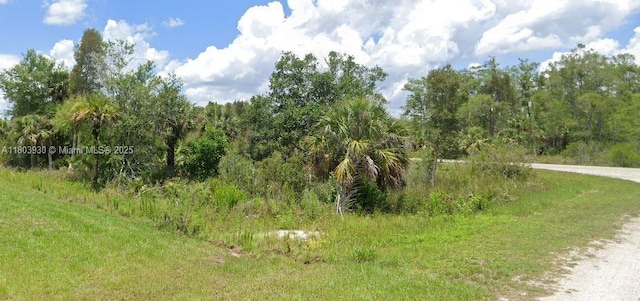 1935 Holyoke Ave, Lehigh Acres, FL 33972