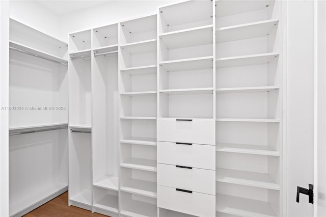 walk in closet featuring wood finished floors