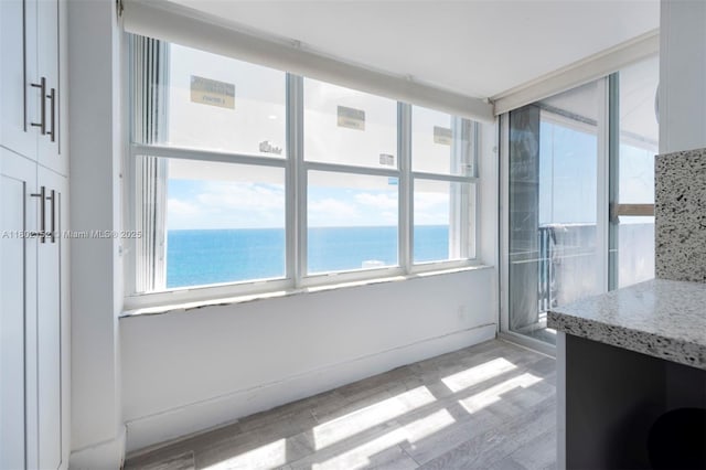 4280 Galt Ocean Dr Unit 23A, Fort Lauderdale, FL 33308 - unfurnished sunroom with a water view