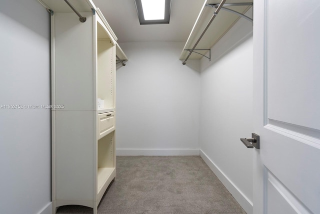 4280 Galt Ocean Dr Unit 23A, Fort Lauderdale, FL 33308 - walk in closet featuring light colored carpet