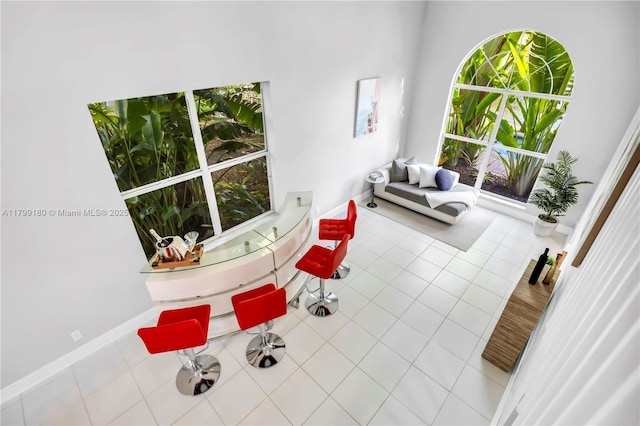 living area featuring tile patterned floors, plenty of natural light, and baseboards