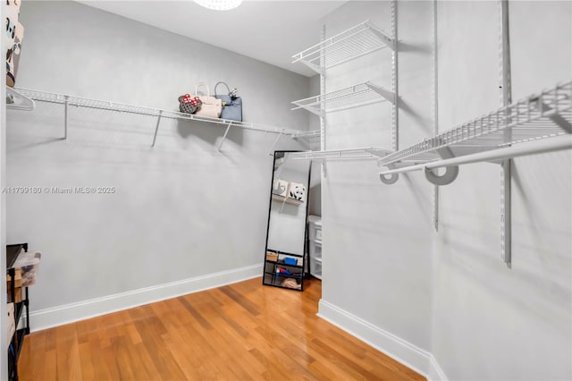 spacious closet featuring wood finished floors
