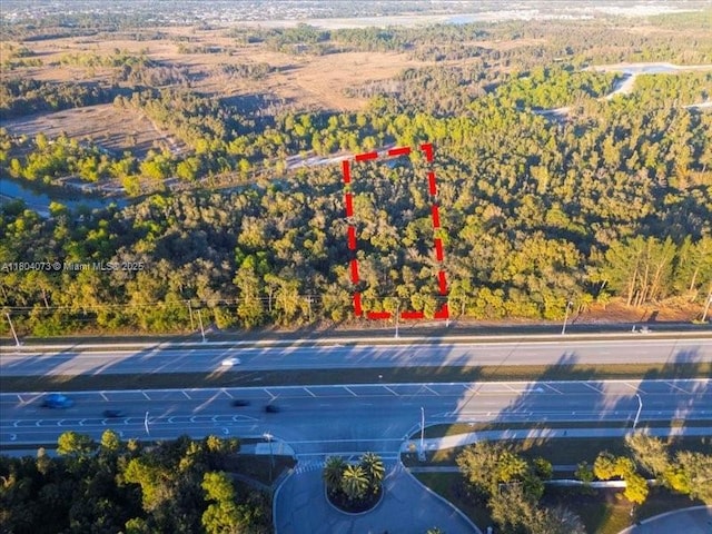 18801 State Road 82, Fort Myers, FL 33913 - photo 4