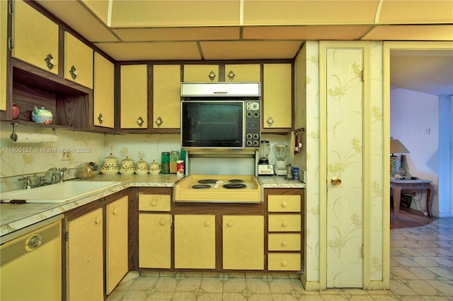 kitchen featuring a sink, electric stovetop, light countertops, and dishwashing machine