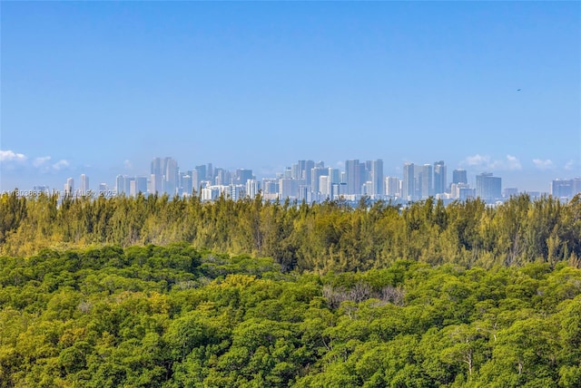 400 Kings Point Dr Unit 1021, Sunny Isles Beach, FL 33160 - city view with a forest