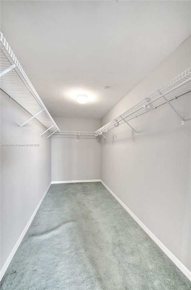3200 N Ocean Blvd Unit 1206, Fort Lauderdale, FL 33308 - spacious closet with carpet
