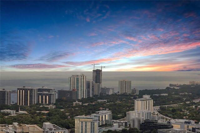 88 SW 7th St Unit 4101, Miami, FL 33130 - view of city