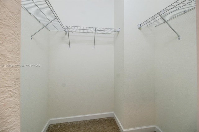 11094 W 33rd Way, Hialeah, FL 33018 - walk in closet with carpet