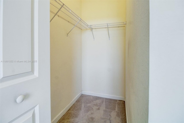 11094 W 33rd Way, Hialeah, FL 33018 - walk in closet with carpet floors
