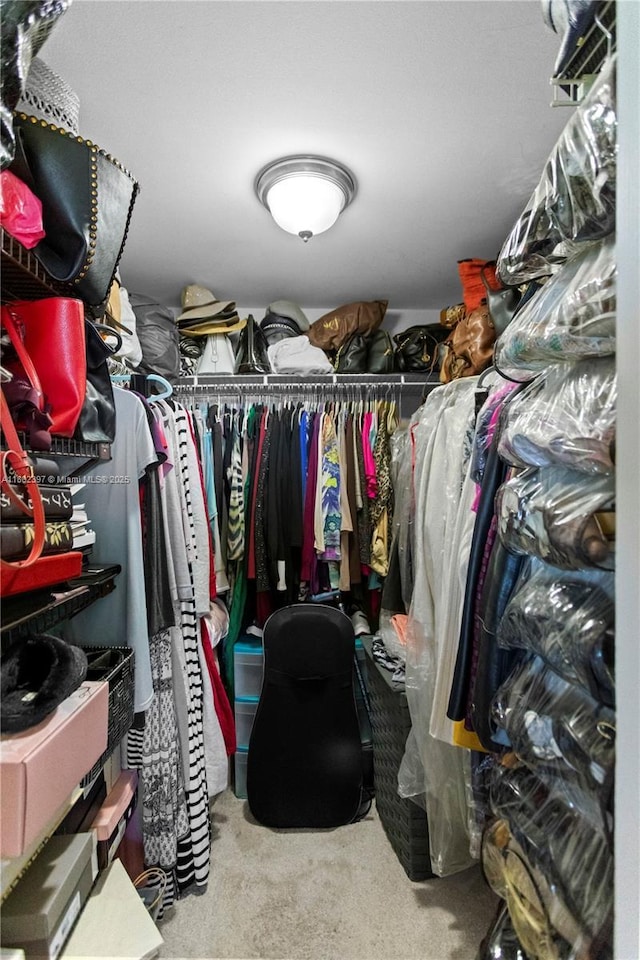 900 Colony Point Cir Unit 523, Pembroke Pines, FL 33026 - spacious closet with carpet