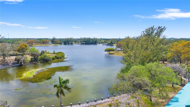 900 Colony Point Cir Unit 523, Pembroke Pines, FL 33026 - water view
