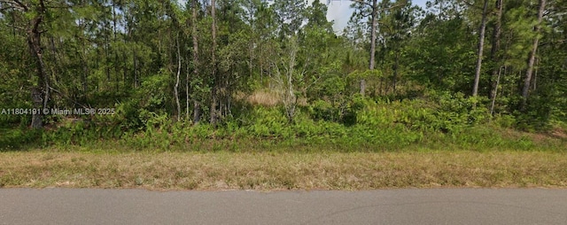 4936 Balboa Blvd, Sebring, FL 33872 - photo 2
