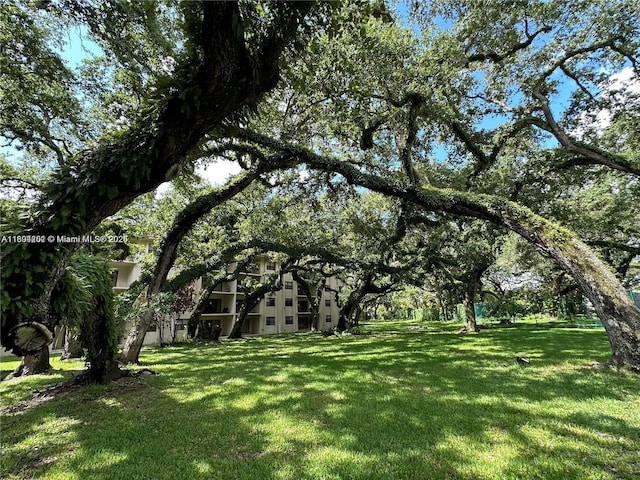 601 Ives Dairy Rd Unit 401-8, Miami, FL 33179 - view of grassy yard