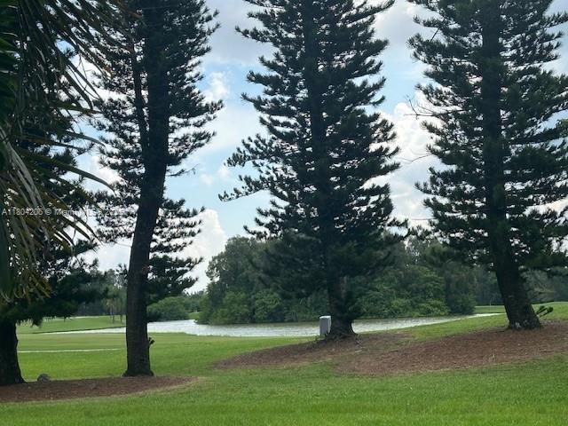 16141 Blatt Blvd Unit 311, Weston, FL 33326 - surrounding community featuring a lawn and a water view