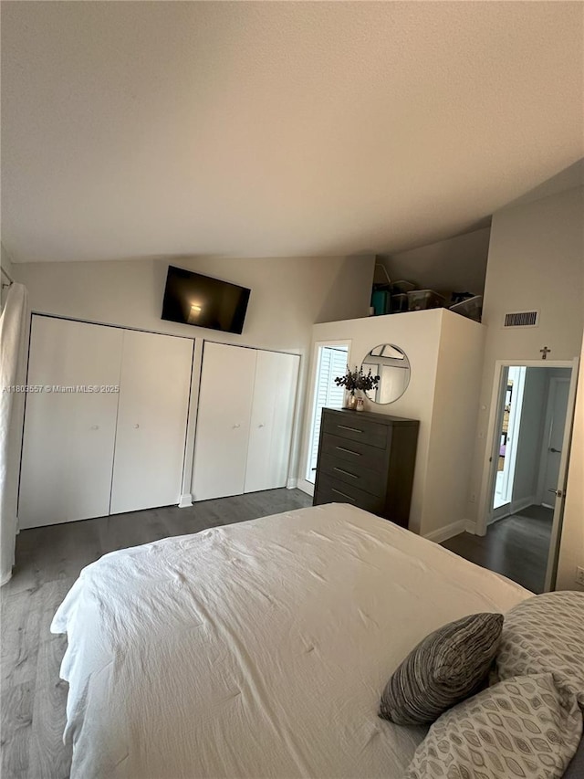 bedroom featuring multiple closets, dark wood-style floors, multiple windows, and high vaulted ceiling