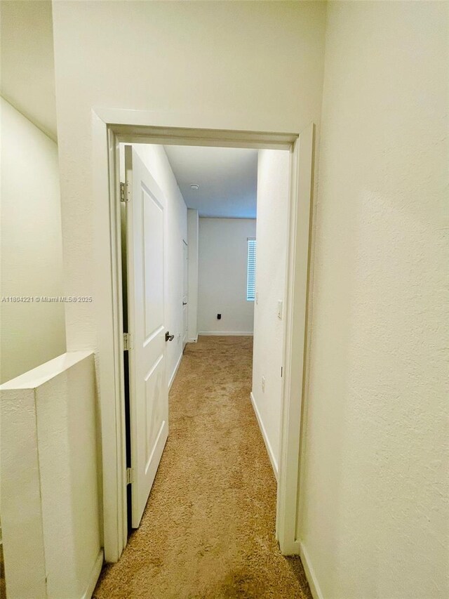 448 NE 4th St, Florida City, FL 33034 - hallway with light carpet and baseboards