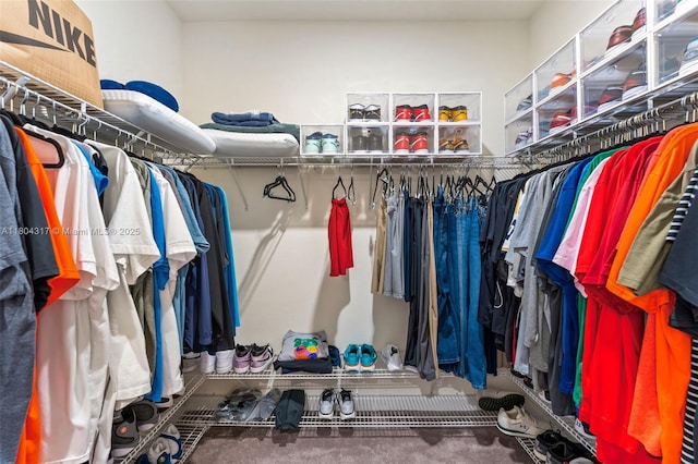 3531 W 104th Ter, Hialeah, FL 33018 - view of spacious closet
