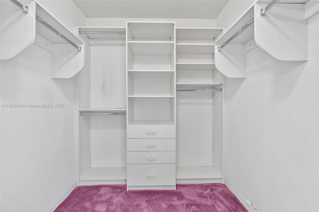 walk in closet with carpet flooring