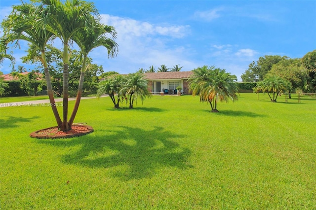 12411 SW 12th St, Davie, FL 33325 - view of green lawn
