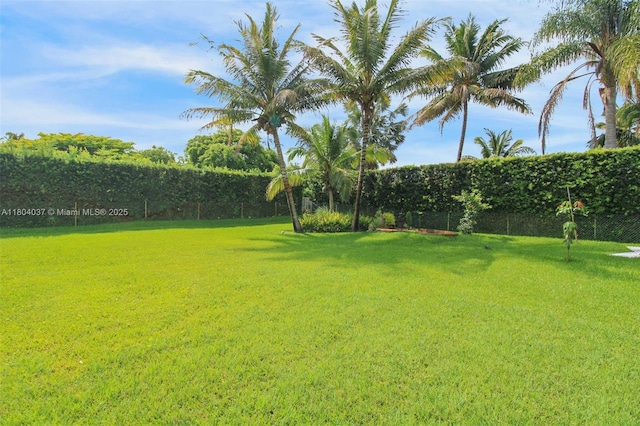 12411 SW 12th St, Davie, FL 33325 - view of yard