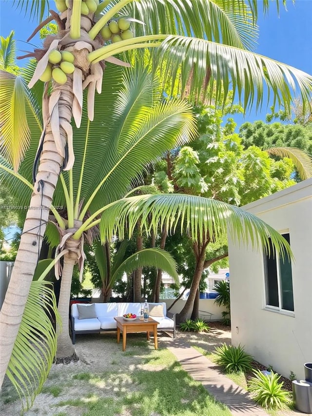 16204 NE 18th Ct, North Miami Beach, FL 33162 - view of yard with outdoor lounge area and a patio area