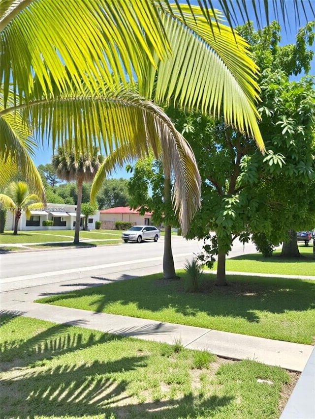 16204 NE 18th Ct, North Miami Beach, FL 33162 - view of grassy yard