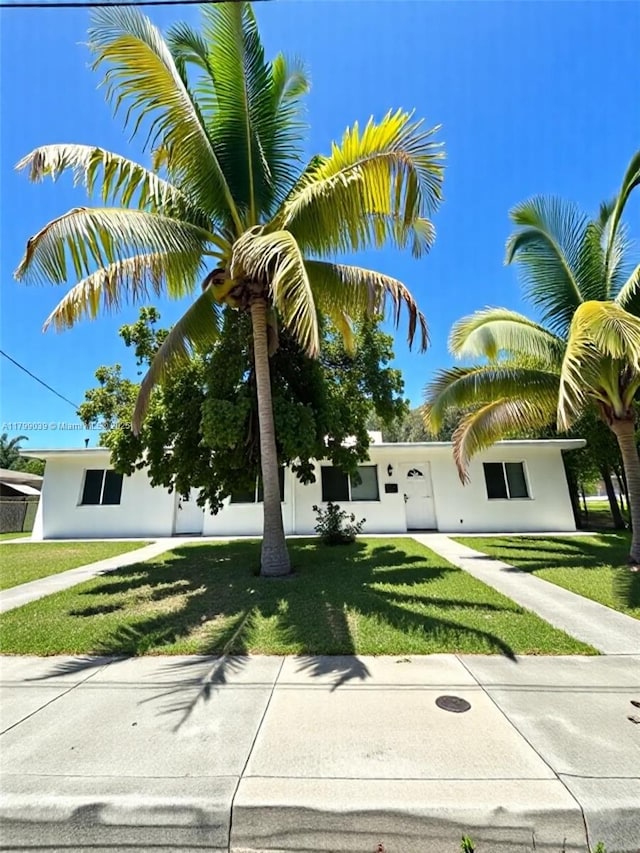16204 NE 18th Ct, North Miami Beach, FL 33162 - view of property hidden behind natural elements featuring a front lawn and stucco siding