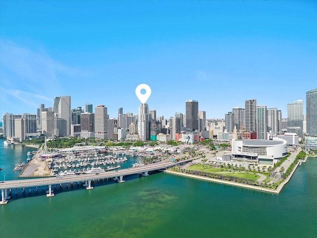 244 Biscayne Blvd Unit 2407, Miami, FL 33132 - drone / aerial view of city skyline, a nearby body of water, and numerous boat docks