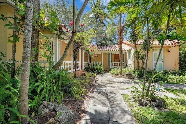 73 NE 99th St, Miami Shores, FL 33138 - photo 5