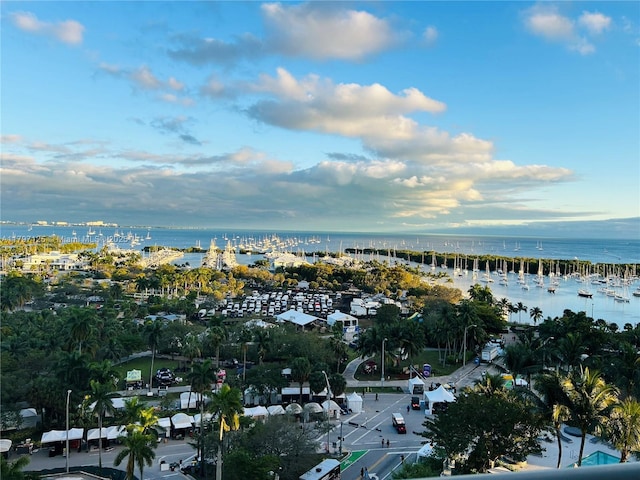 3400 SW 27th Ave Unit 1102, Miami, FL 33133 - aerial overview of property's location with a nearby body of water