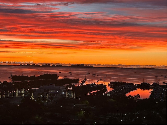 3400 SW 27th Ave Unit 1102, Miami, FL 33133 - view of undeveloped land with a large body of water