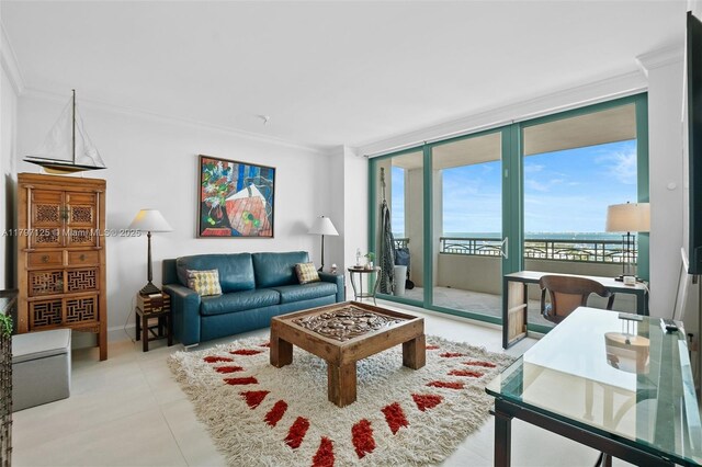 3400 SW 27th Ave Unit 1102, Miami, FL 33133 - living room with crown molding and a water view