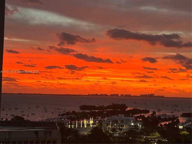 3400 SW 27th Ave Unit 1102, Miami, FL 33133 - water view