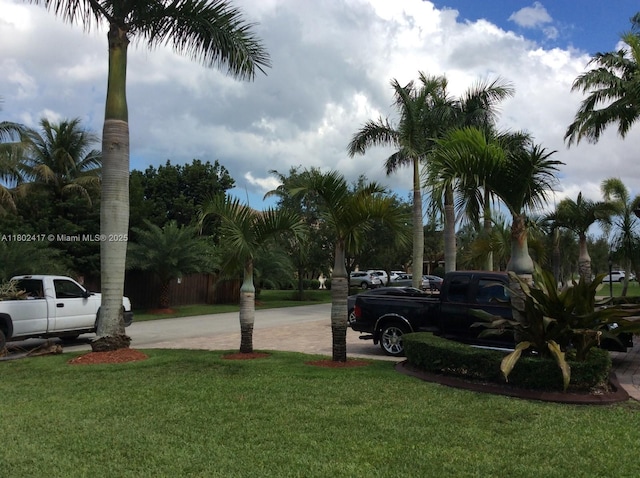 21046 SW 133rd Ct, Miami, FL 33177 - view of green lawn featuring curved driveway