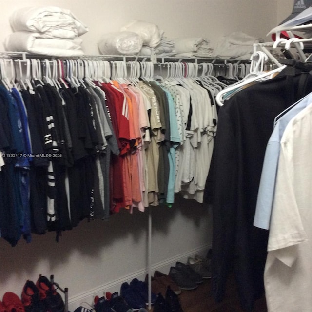 21046 SW 133rd Ct, Miami, FL 33177 - view of spacious closet