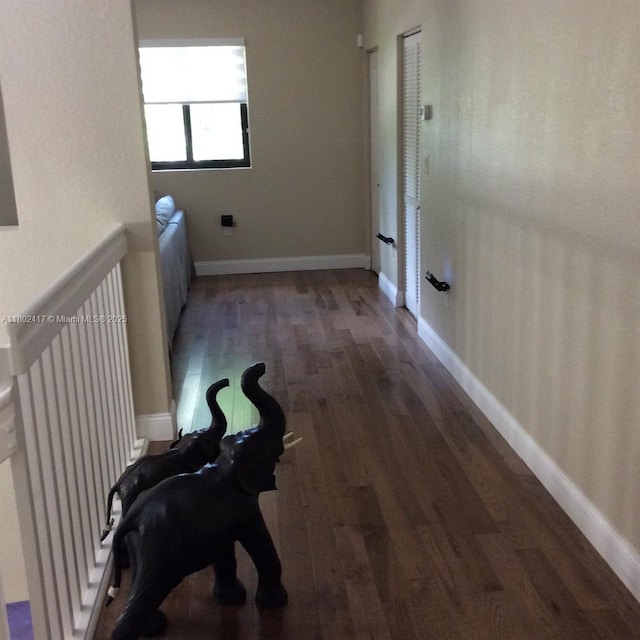 21046 SW 133rd Ct, Miami, FL 33177 - hall featuring wood finished floors and baseboards