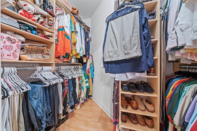 15120 SW 156th Ave, Miami, FL 33196 - spacious closet with wood finished floors