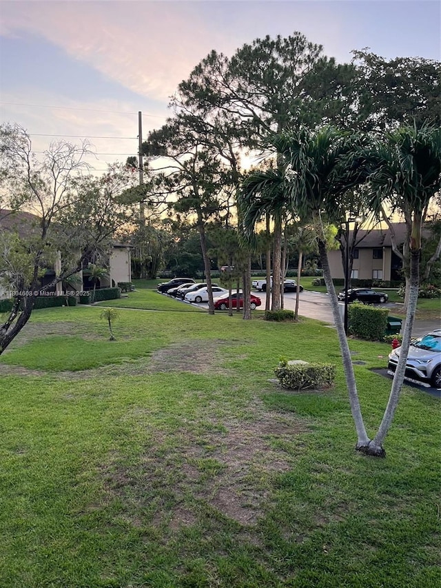 view of property's community with a lawn