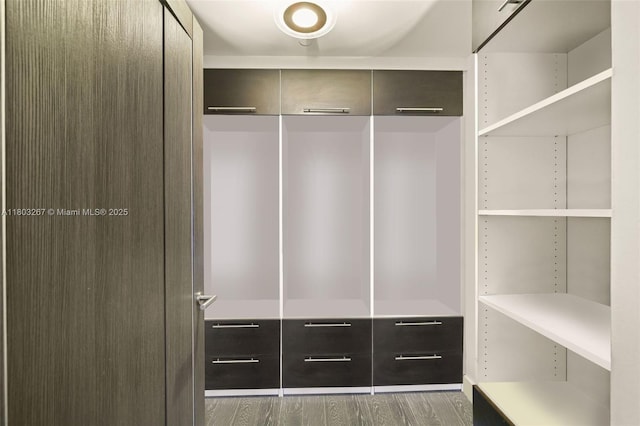 2020 N Bayshore Dr Unit 2001, Miami, FL 33137 - walk in closet featuring wood finished floors