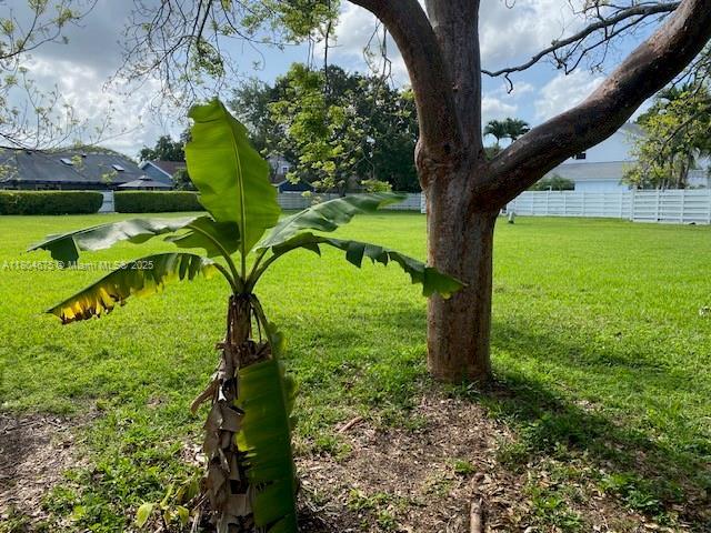14953 SW 143rd Ct, Miami, FL 33186 - view of yard