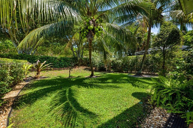 2626 Sawyer Ter, Wellington, FL 33414 - view of grassy yard