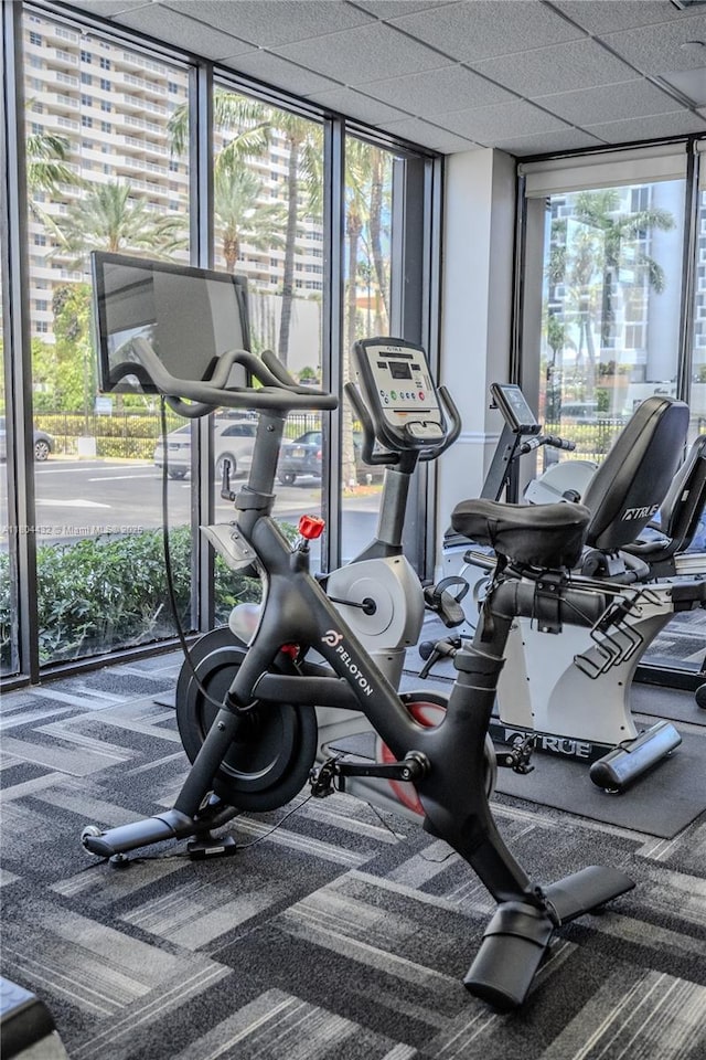 2017 S Ocean Dr Unit 1404, Hallandale Beach, FL 33009 - workout area with carpet floors and expansive windows