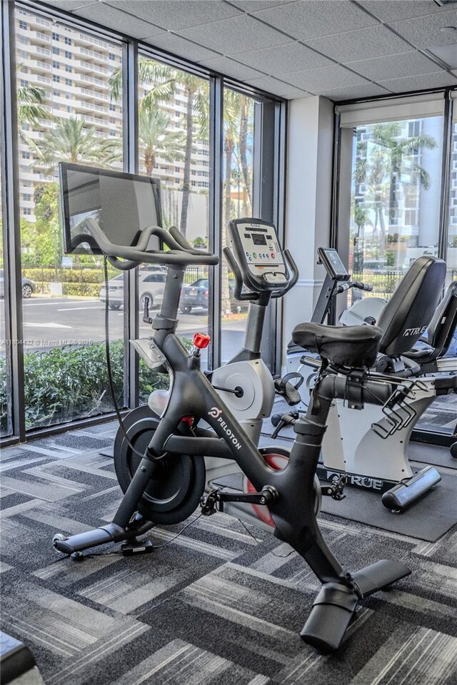 2017 S Ocean Dr Unit 1404, Hallandale Beach, FL 33009 - workout area featuring carpet flooring and floor to ceiling windows