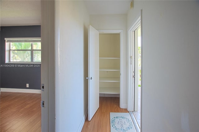 4200 Crystal Lake Dr Unit 204, Deerfield Beach, FL 33064 - hall featuring light wood-type flooring and baseboards
